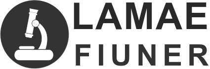 Logo LAMAE