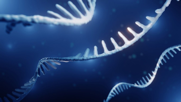 Extrañas bacterias desafían los libros de texto al “escribir” nuevos genes