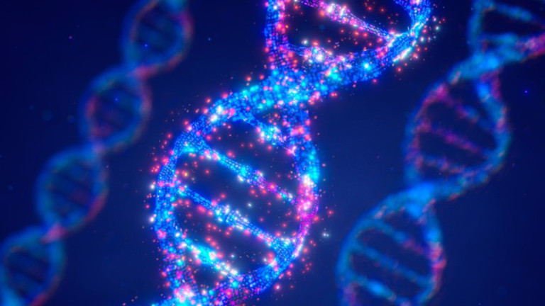 El ADN almacena datos en bits después de la actualización epigenética