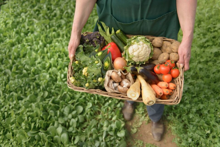 Feria de alimentos y otras yerbas
