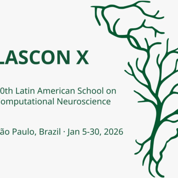 LASCON 2026: Inscripciones abiertas para participar del programa intensivo en Neurociencia Computacional