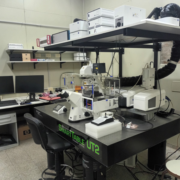 Convocatoria abierta para beca doctoral CONICET 2026