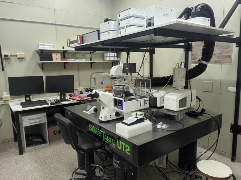 Convocatoria abierta para beca doctoral CONICET 2026