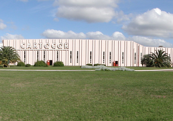 Convocatoria Pasantía Rentada en Cartocor